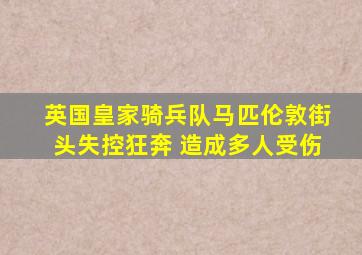 英国皇家骑兵队马匹伦敦街头失控狂奔 造成多人受伤